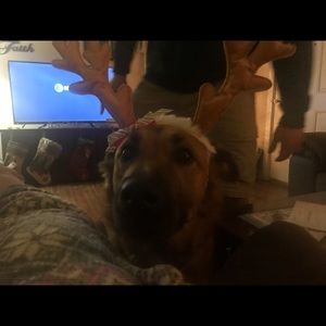 Meet your Posher, Belinda